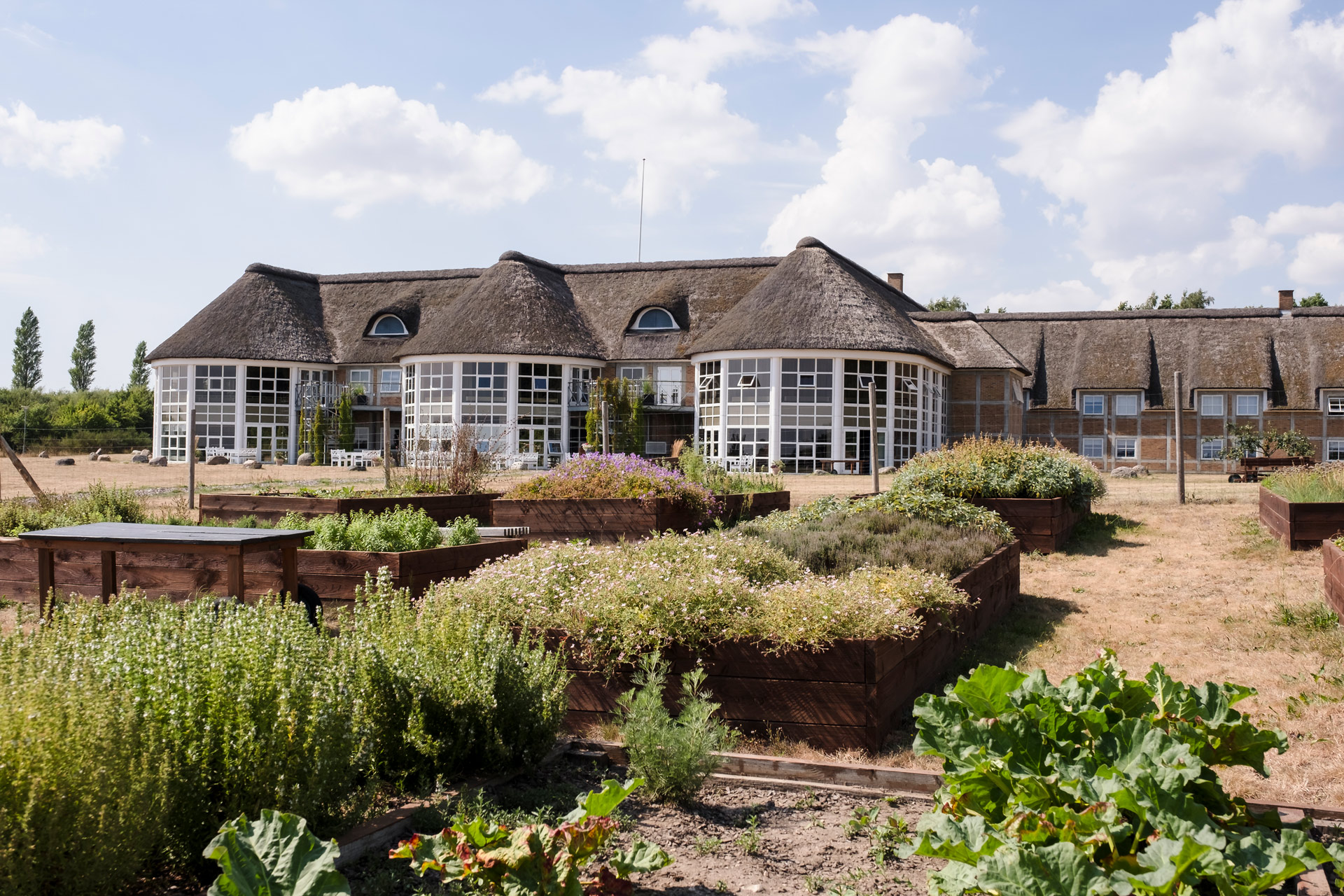 Det Perfekte Bryllupssted Festen